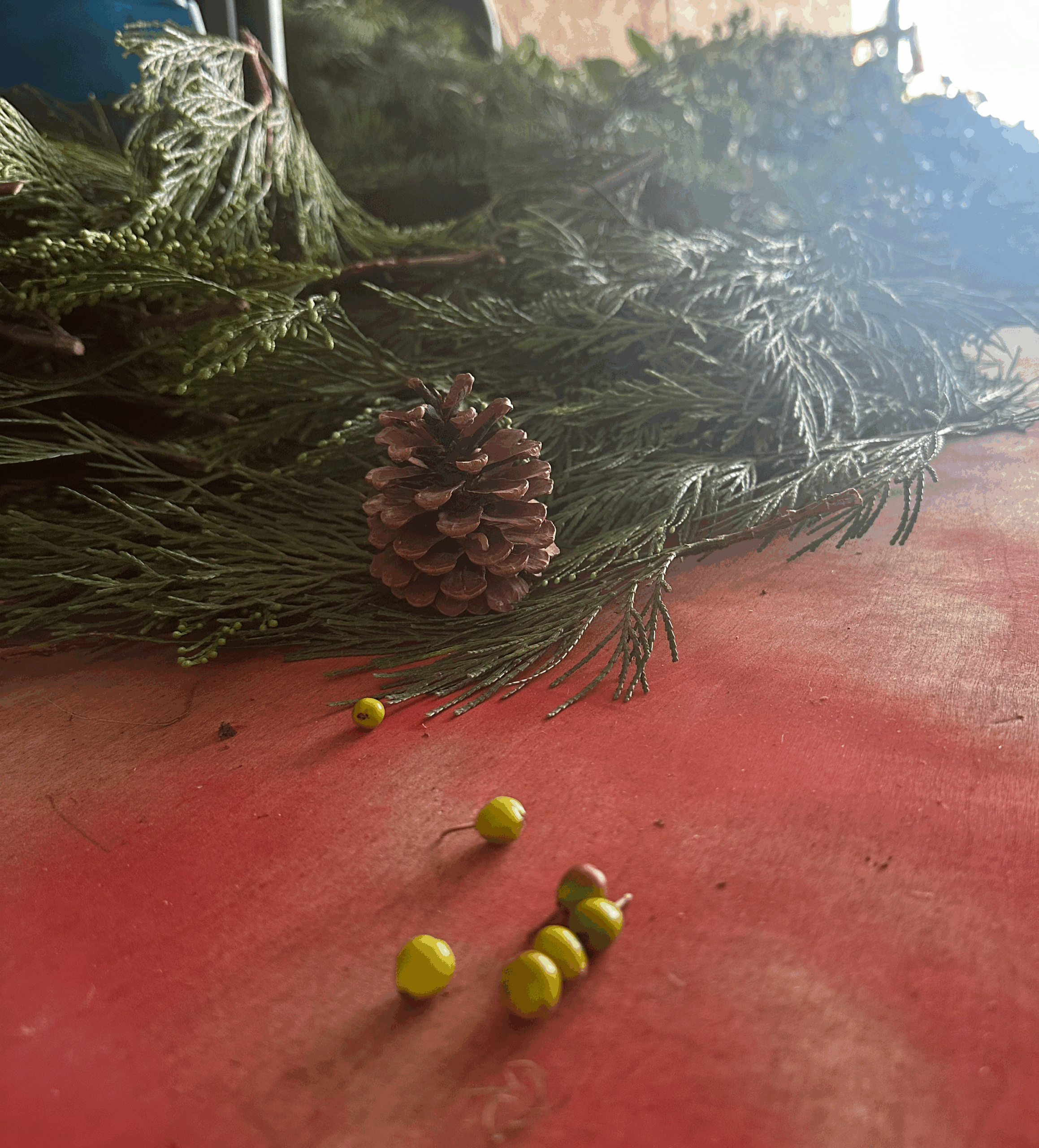 Fresh Holly & Greens - Image 3