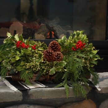 Yule Log